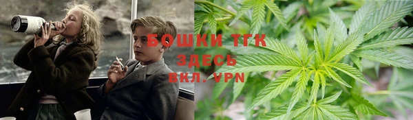 дживик Инта