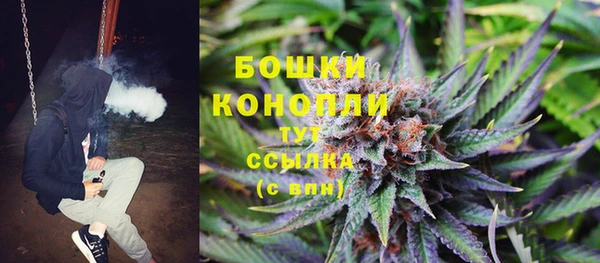 не бодяженный Тайга