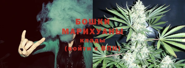 дживик Инта