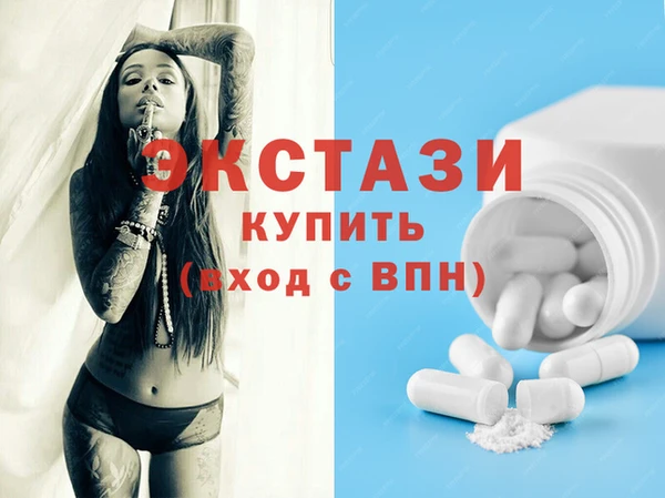 дживик Инта