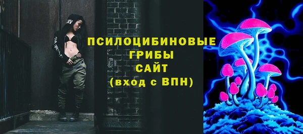 гидропоника Инсар