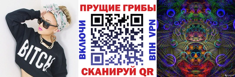 Псилоцибиновые грибы Cubensis Купить Пущино